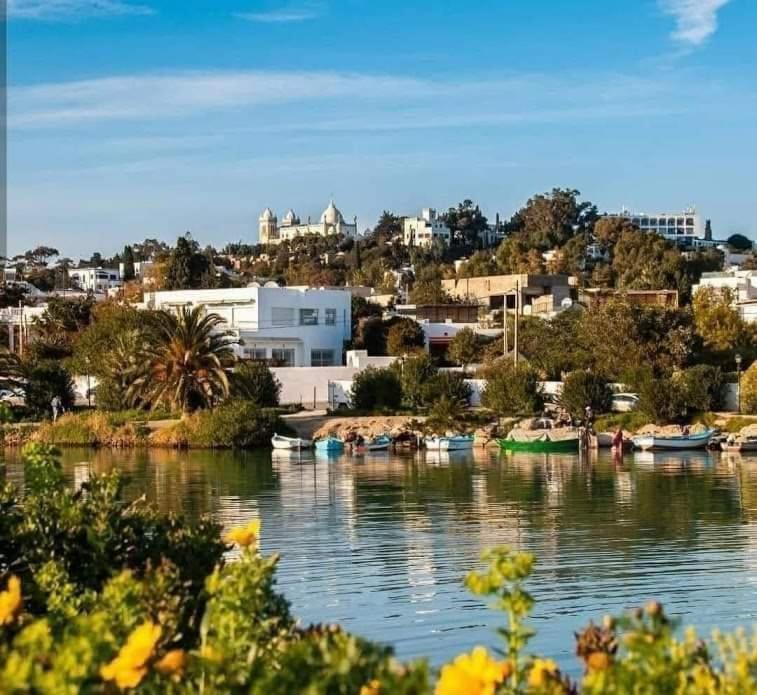 Appartement A Carthage Byrsa Eksteriør billede