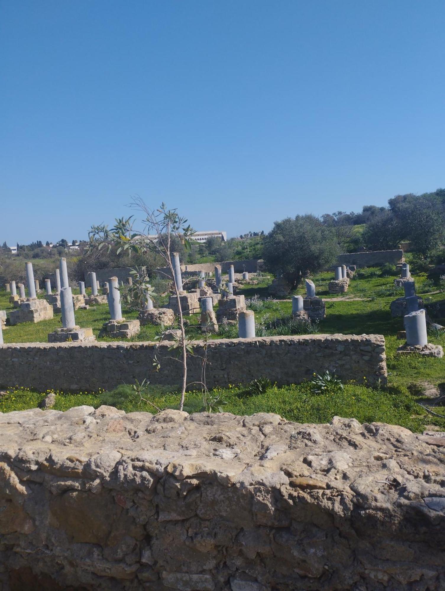 Appartement A Carthage Byrsa Eksteriør billede